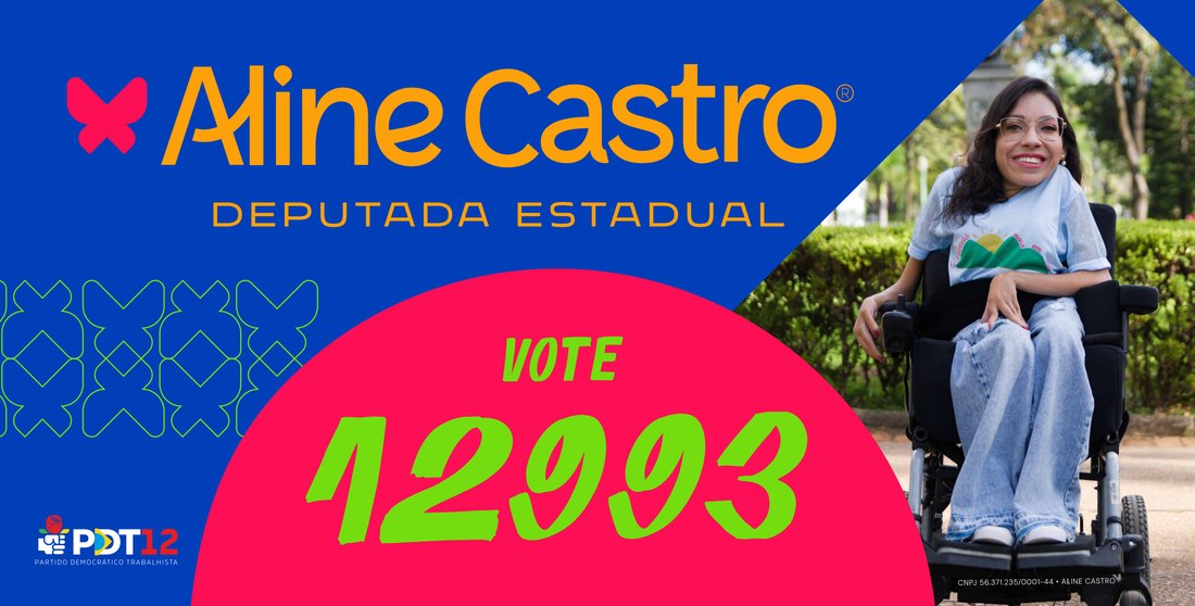 Adesivo de carro com a marca Aline Castro e o número 12993
