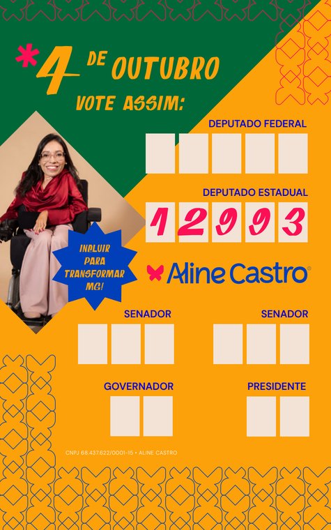 Colinha de votação com o número 12993 para levar na urna